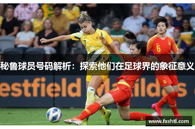 秘鲁球员号码解析：探索他们在足球界的象征意义