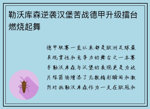 勒沃库森逆袭汉堡苦战德甲升级擂台燃烧起舞