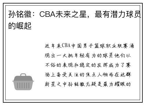 孙铭徽：CBA未来之星，最有潜力球员的崛起